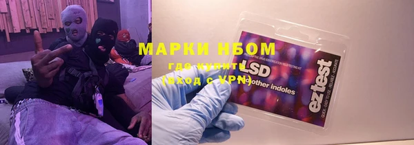 прущие грибы Лабытнанги