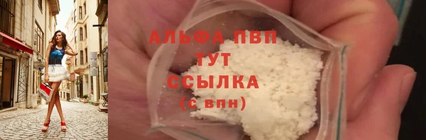 сатива Кукмор
