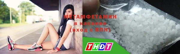 сатива Кукмор