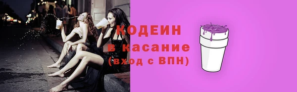 прущие грибы Лабытнанги
