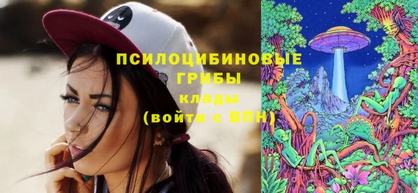 прущие грибы Лабытнанги