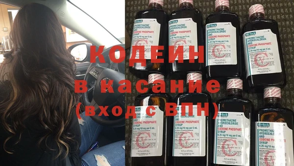 сатива Кукмор