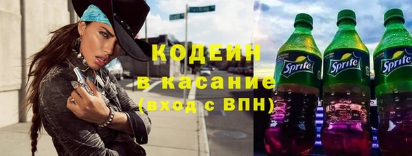 прущие грибы Лабытнанги