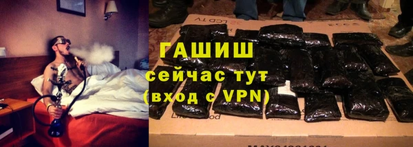 ПСИЛОЦИБИНОВЫЕ ГРИБЫ Чита