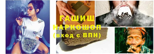 прущие грибы Лабытнанги