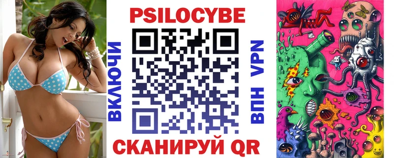 закладки  Фурманов  Галлюциногенные грибы Psilocybe 